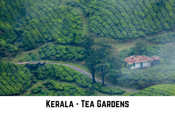 Kerala